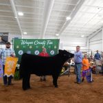 2019 Wayne County Fair sale results Wayne County Fair Grand Champion Steer