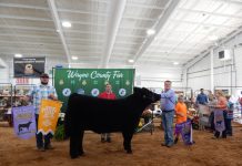 2019 Wayne County Fair sale results Wayne County Fair Grand Champion Steer
