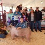 2019 Loudonville Street Fair sale totals $126,054.70 Loudonville Street Fair Grand Champion Hog