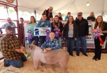 2019 Loudonville Street Fair sale totals $126,054.70 Loudonville Street Fair Grand Champion Hog