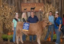 2019 Barlow Independent Fair sale results Grand Champion Steer