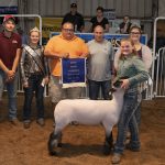 2019 Tuscarawas County Fair sale totals $779,439.25 Grand Champion Lamb