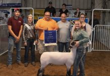2019 Tuscarawas County Fair sale totals $779,439.25 Grand Champion Lamb