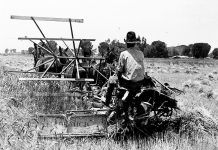 McCormick’s reaper revolutionized farming historical image of a reaper