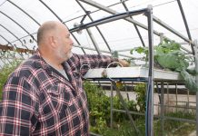 Cleveland-born veteran finds peace, community in W.Va. farming David Clough looks at a plant he grew hydroponically in his greenhouse.