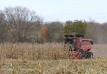 Slow harvest, slow news, weak prices Corn harvest 2016