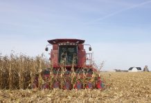 Are renewables making the US less energy independent? A combine harvesting corn.