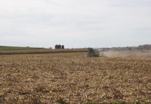 Market prices again hang on USDA report A combine harvesting corn.