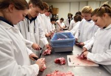 FFA hits record numbers, fills educational gaps in West Virginia students cut up pig at Tyler HS