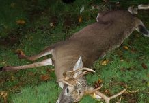 Mark Weber — Nov. 1, 2019 Mark Weber