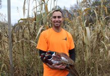 Former Cleveland man finds passion in pheasants man with pheasant in arms
