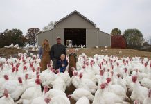 Kisamores give thanks for friends, family while raising 1,000 turkeys The Kisamore family and their turkeys.