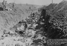 We need better traceability in livestock industry 1924 cattle slaughtered