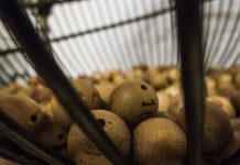 How to entertain the guests who are not into football on Thanksgiving bingo balls