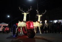 Photo gallery: Linesville Lighted Tractor Parade reindeer on lighted tractor