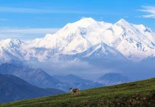 Visitors ‘fell in love’ with Alaska Alaska