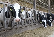 How did we get here?