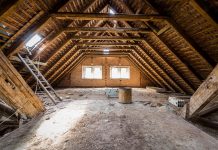 How to control pests in your attic attic