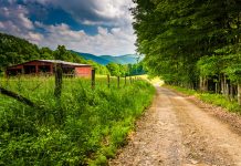 In West Virginia, ‘anything is a go, until it isn’t’ in dairy