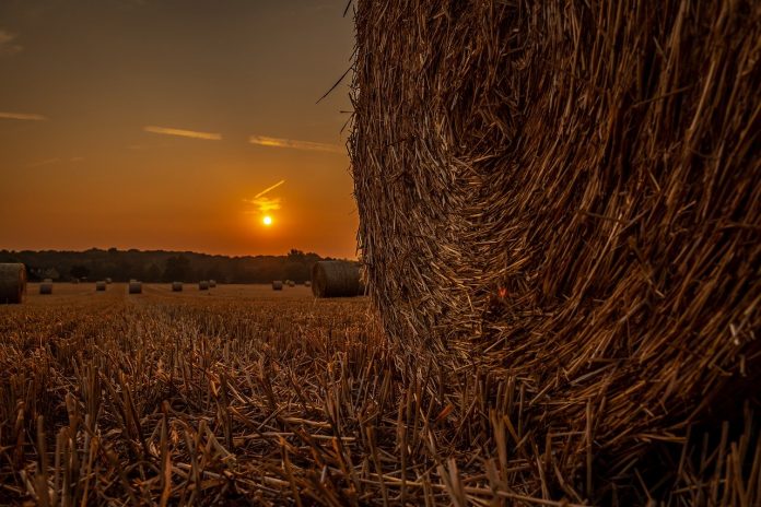 sunset on a hay bale