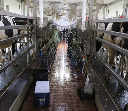 Celebrate dairy farmers all month long milking parlor