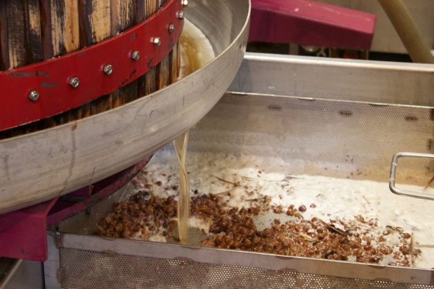 Grape juice drips from the basket press into a bin.