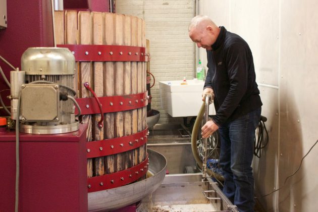 Vineyards manager Gene Sigel siphons juice for ice wine, Jan. 22, from a bin into another.