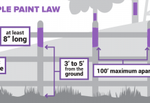 Purple paint law goes live in Pennsylvania purple paint graphic