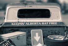 The curious history of Alberta’s rat patrol Alberta rat patrol