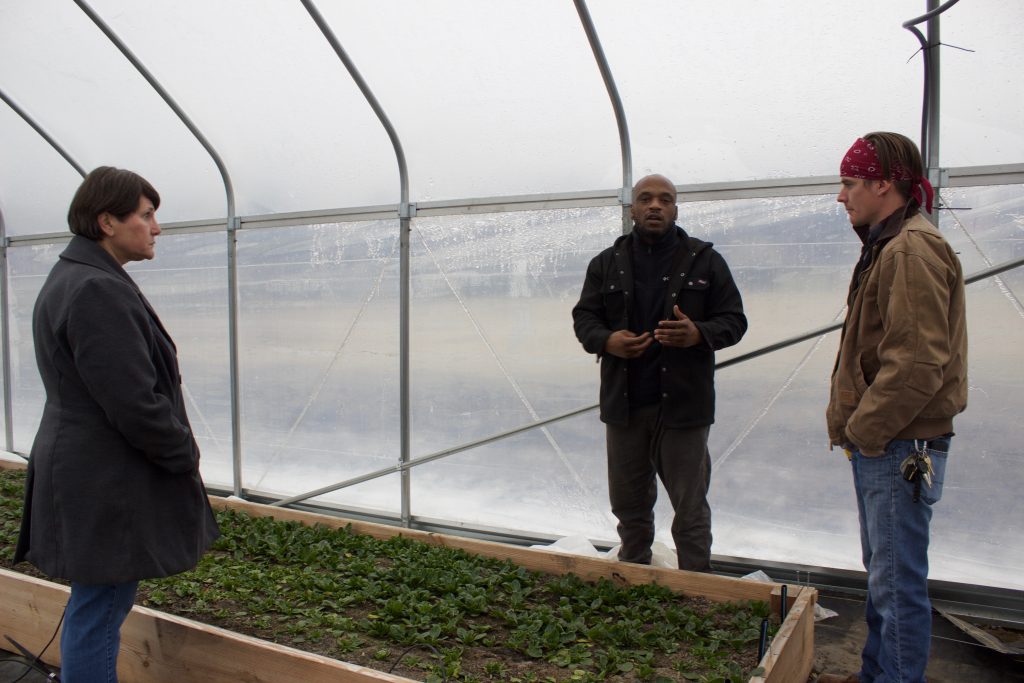 Two men and a woman stand inside a high tunnel.