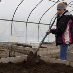 Growing together: Mansfield microfarm cooperative heads into second year A woman works with a shovel in a raised growing bed in a high tunnel.