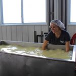 Portage County dairy makes it work with just 10 cows woman making cheese