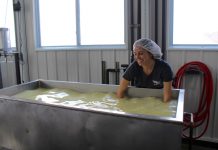 Portage County dairy makes it work with just 10 cows woman making cheese