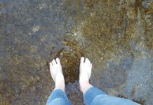 How to determine if your creek is healthy