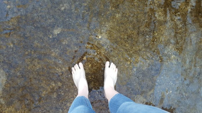 How to determine if your creek is healthy - Farm and Dairy