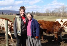 Apprenticeships offer training, education on the farm women in front of cows