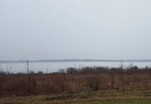 Enjoying state parks amid COVID-19 outbreak West Branch State Park