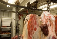 Meat packers hit hard by coronavirus pandemic meat packing plant