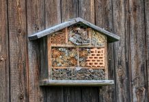 Try these green activities at home bee hotel