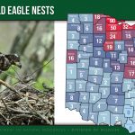 Citizen scientist census finds 707 bald eagle nests in Ohio 2020 Bald Eagle Nest Map