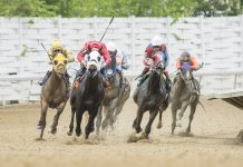Ohio’s thoroughbred horse racing running on empty horse racing