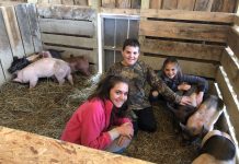 Pa. family dives into county fair preparation, even with unknowns kids with pigs