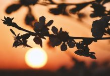 Do what matters most to you sunrise