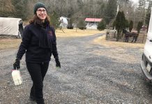 Milk delivery makes a return woman delivering milk