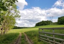 On privilege a field