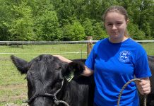 4-H’er asks communities to help youth preparing projects Maggie Byers and her steer, Levi. (Submitted photo)