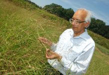 Ohio State professor to receive 2020 World Food Prize at Borlaug Dialogue Rattan Lal