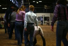 2020 Keystone International Livestock Exposition canceled KILE