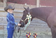 4-Hers compete in Ohio 4-H public speaking contest Callie Finnegan