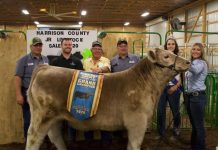 2020 Harrison County Fair sale results The grand champion market steer.